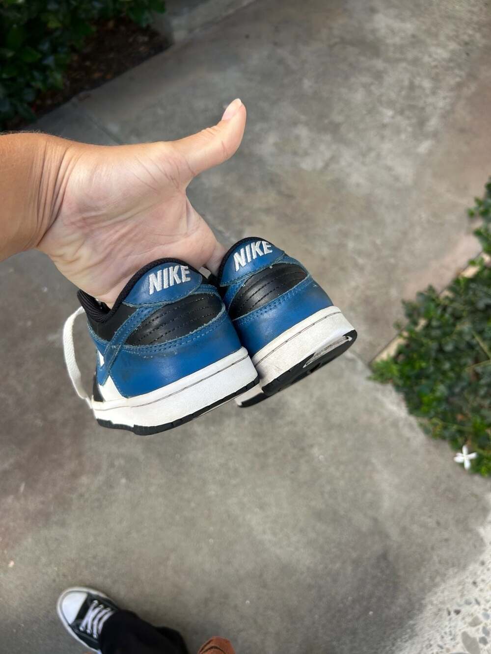 Nike Dunk Low Top Shoes Women’s 8 - Picture 3 of 4